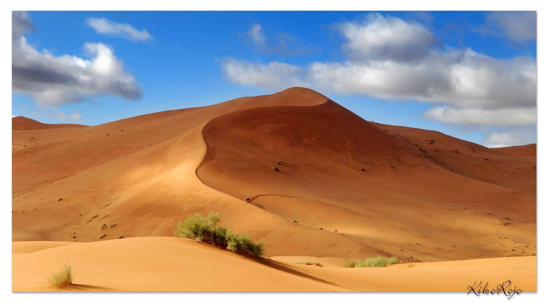 Dunas-de-Kiko